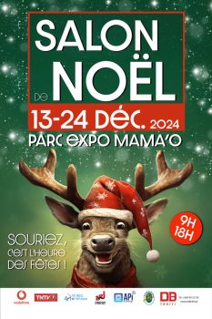 Salon de noel 2024
